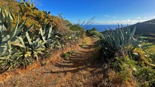 Puntallana - Nogales